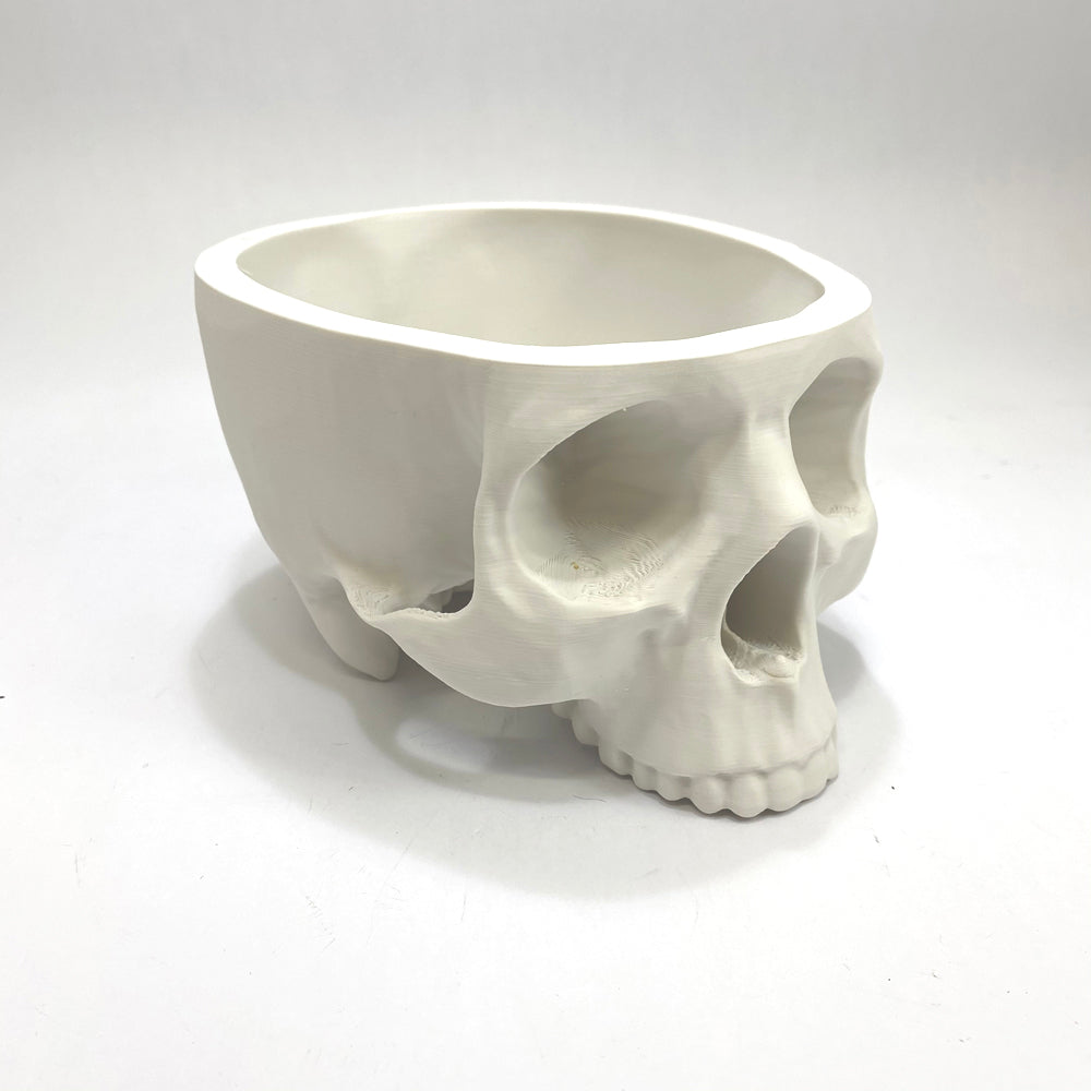 Realistic Skull Bowl