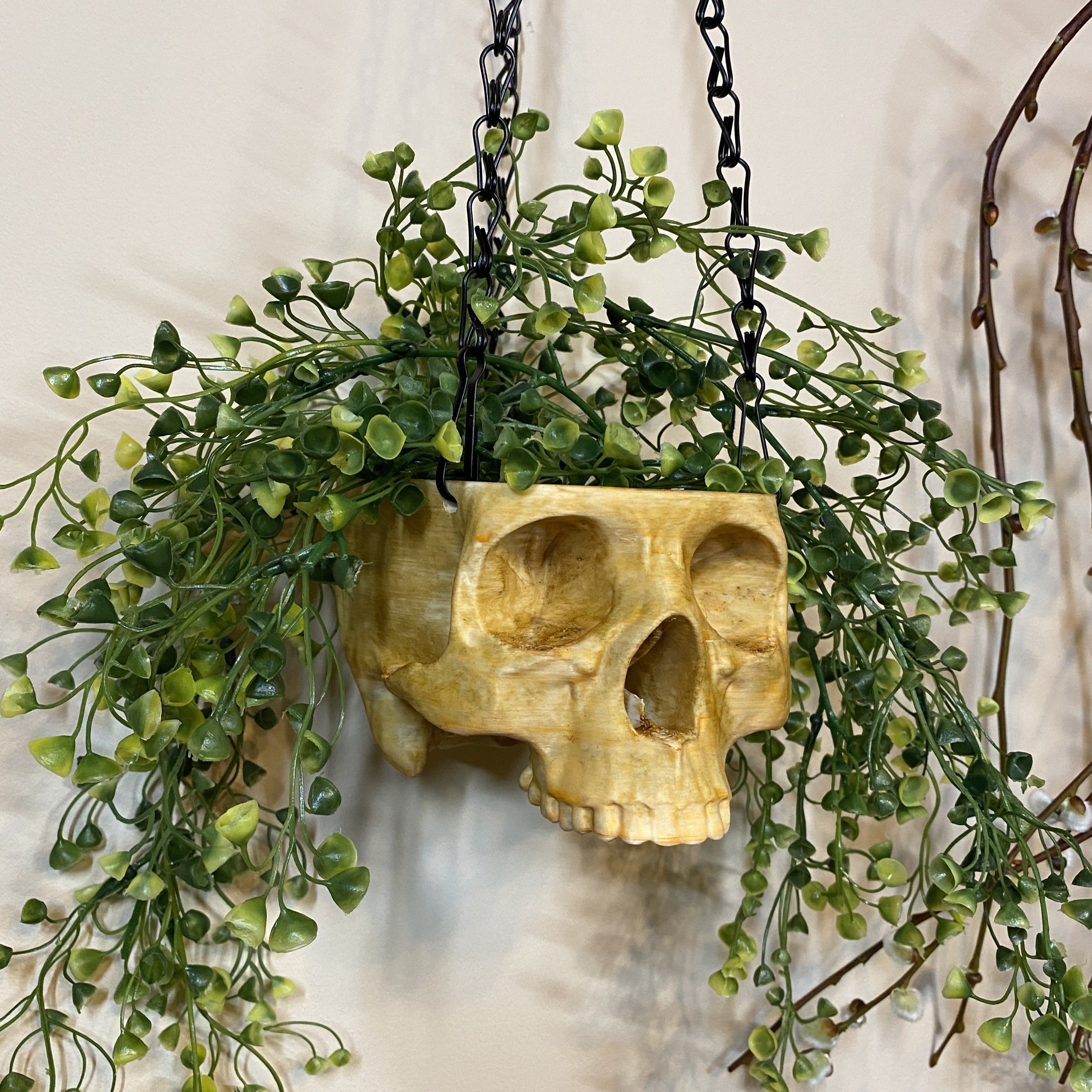 3d print hanging planter Realistic Skull Hanging Planter – Black Martin