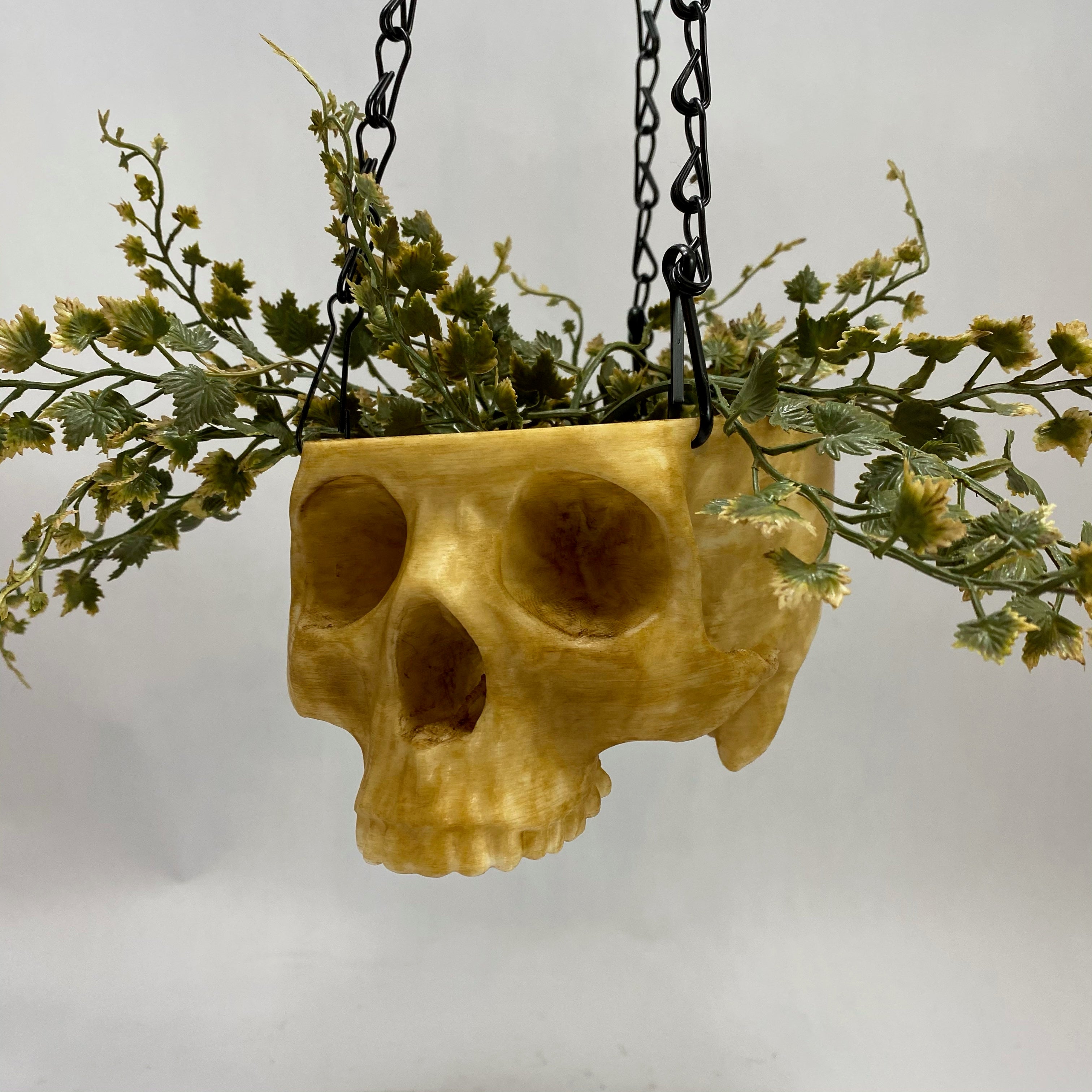 skull hanging planter Realistic Skull Hanging Planter – Black Martin
