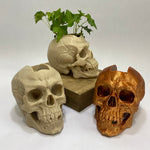 Mohawk Skull Planter