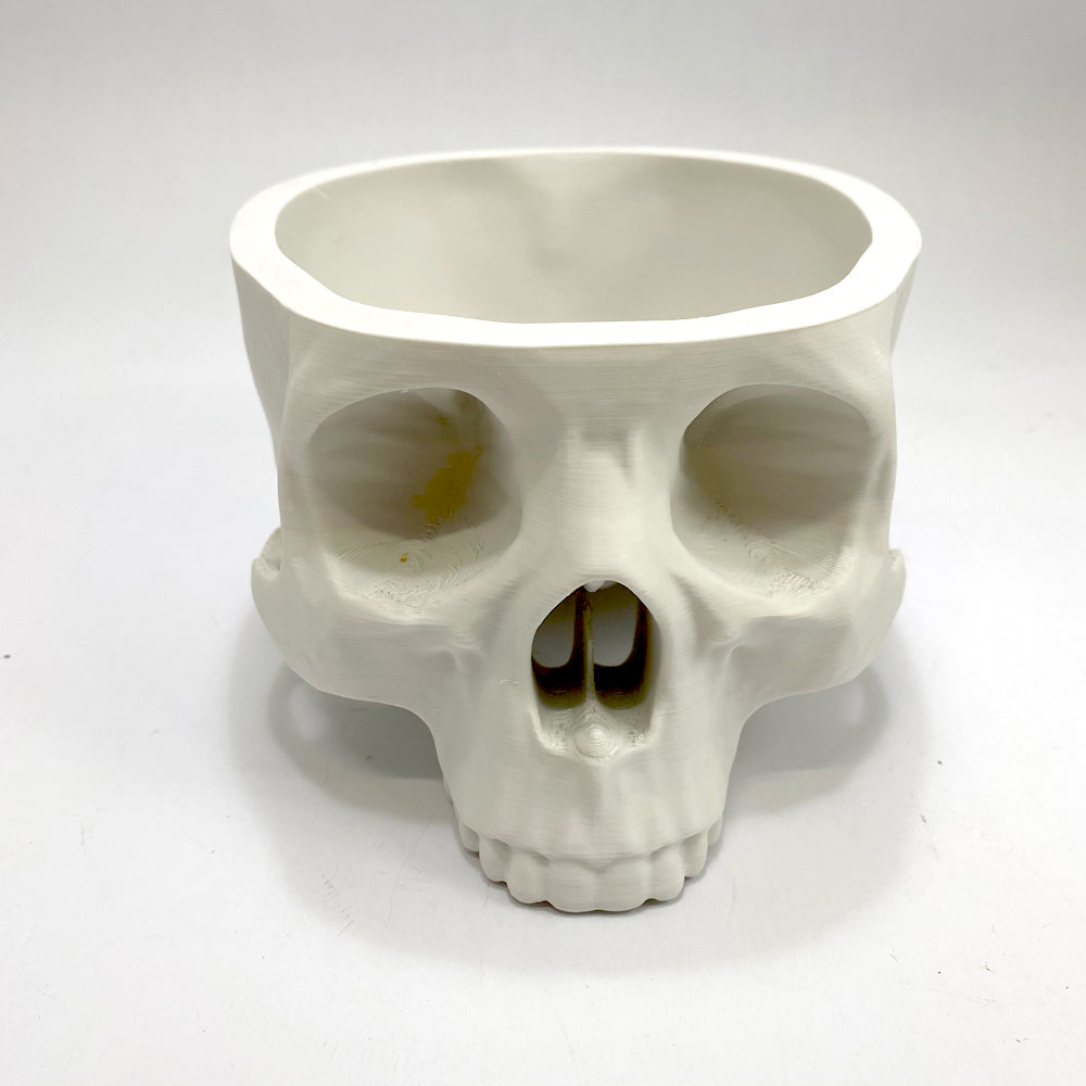 Realistic Skull Bowl